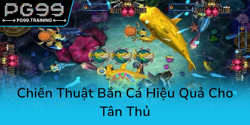 Bắn Cá PG99 - Trải Nghiệm Giải Trí Đỉnh Cao Của Game Thủ Đam Mê Bắn Cá Online 2 Chien Thuat Ban Ca Hieu Qua Cho Tan Thu0