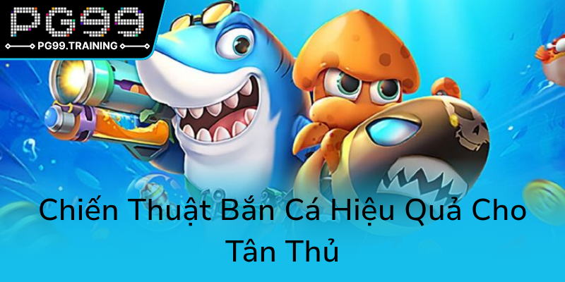Chien Thuat Ban Ca Hieu Qua Cho Tan Thu6
