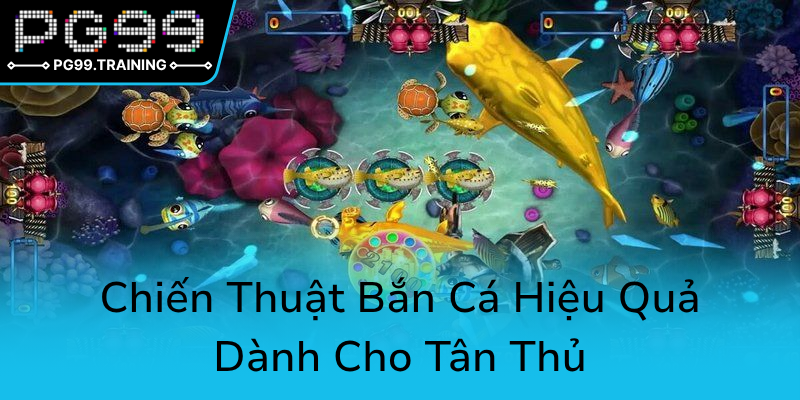 Chien Thuat Ban Ca Hieu Qua Danh Cho Tan Thu0