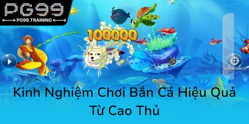 Kinh Nghiem Choi Ban Ca Hieu Qua Tu Cao Thu0