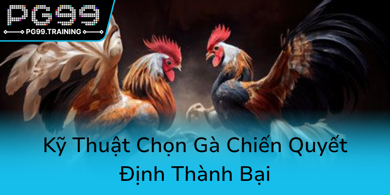 Đá Gà PG99 - Sân Chơi Trực Tuyến Uy Tín Mang Đến Sự Chuyên Nghiệp Trong Đá Gà Online 2 Ky Thuat Chon Ga Chien Quyet Dinh Thanh Bai0