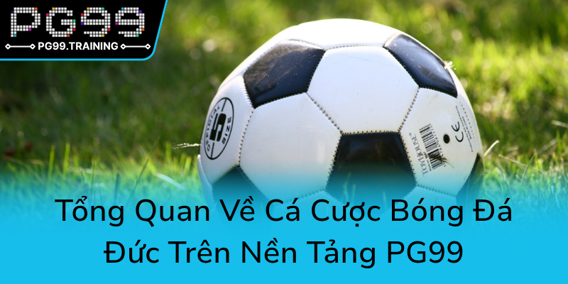 Tong Quan Ve Ca Cuoc Bong Da Duc Tren Nen Tang Pg990